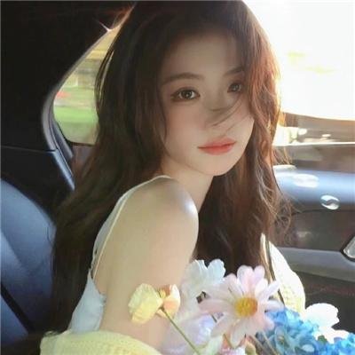 最后的维米尔
